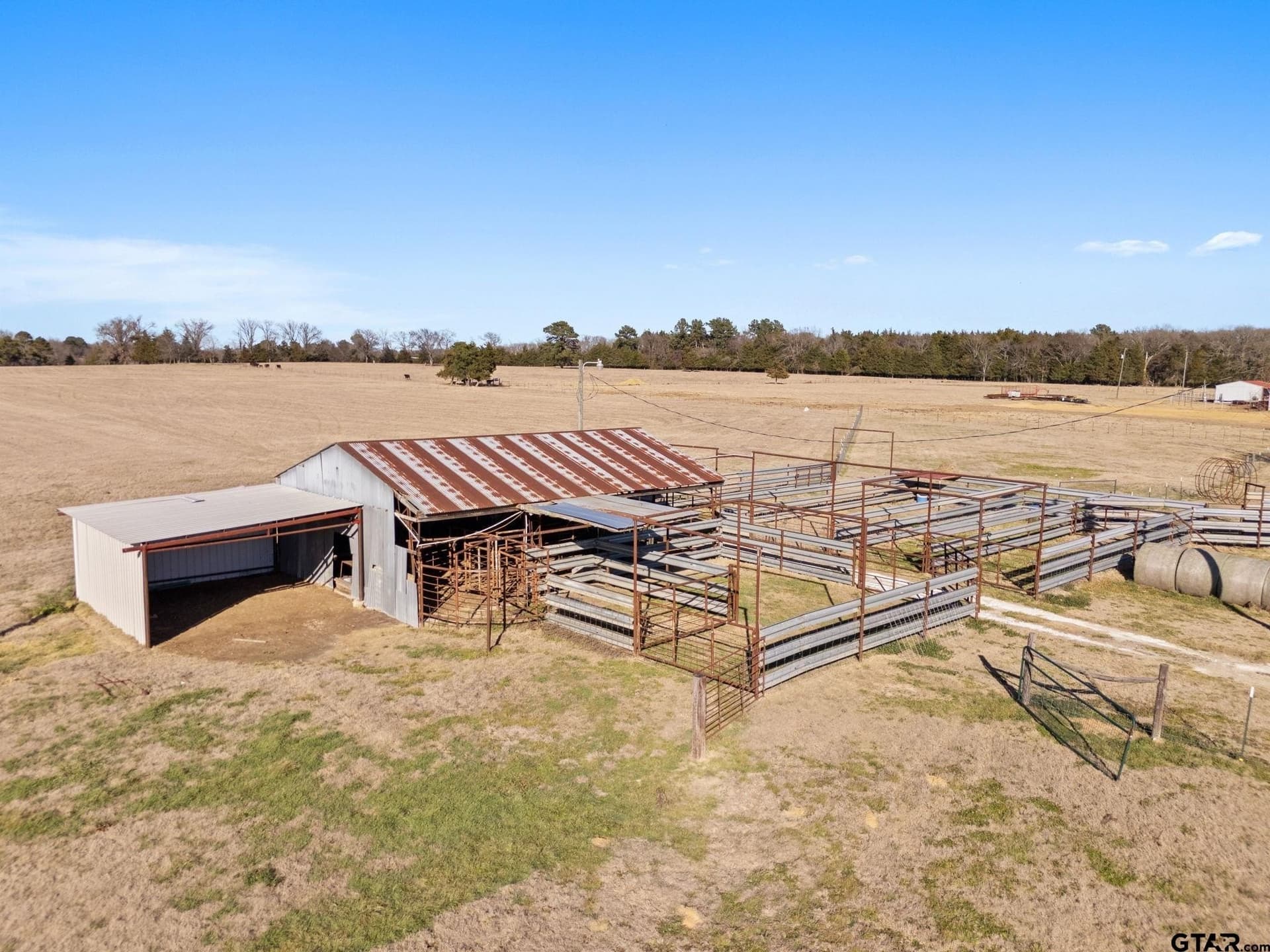40 acres in Titus County - photo 29
