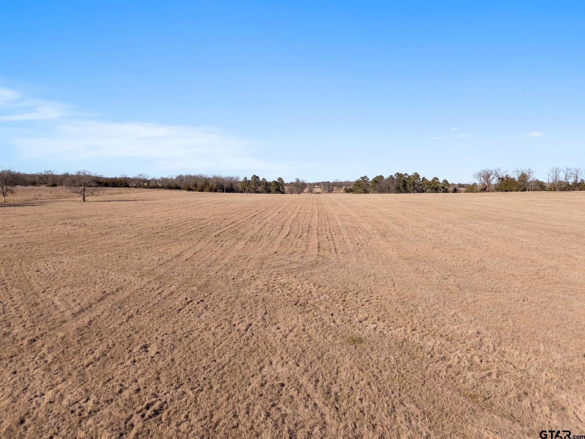 40 acres in Titus County - photo 34