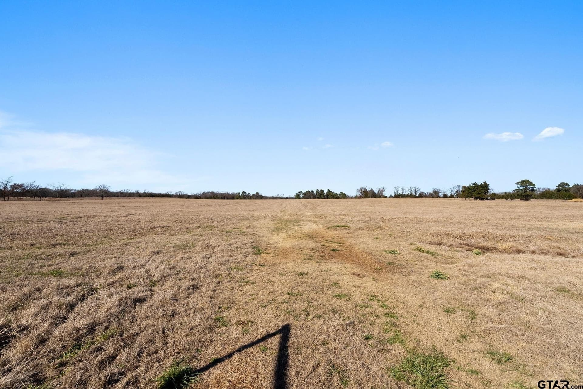 40 acres in Titus County - photo 26