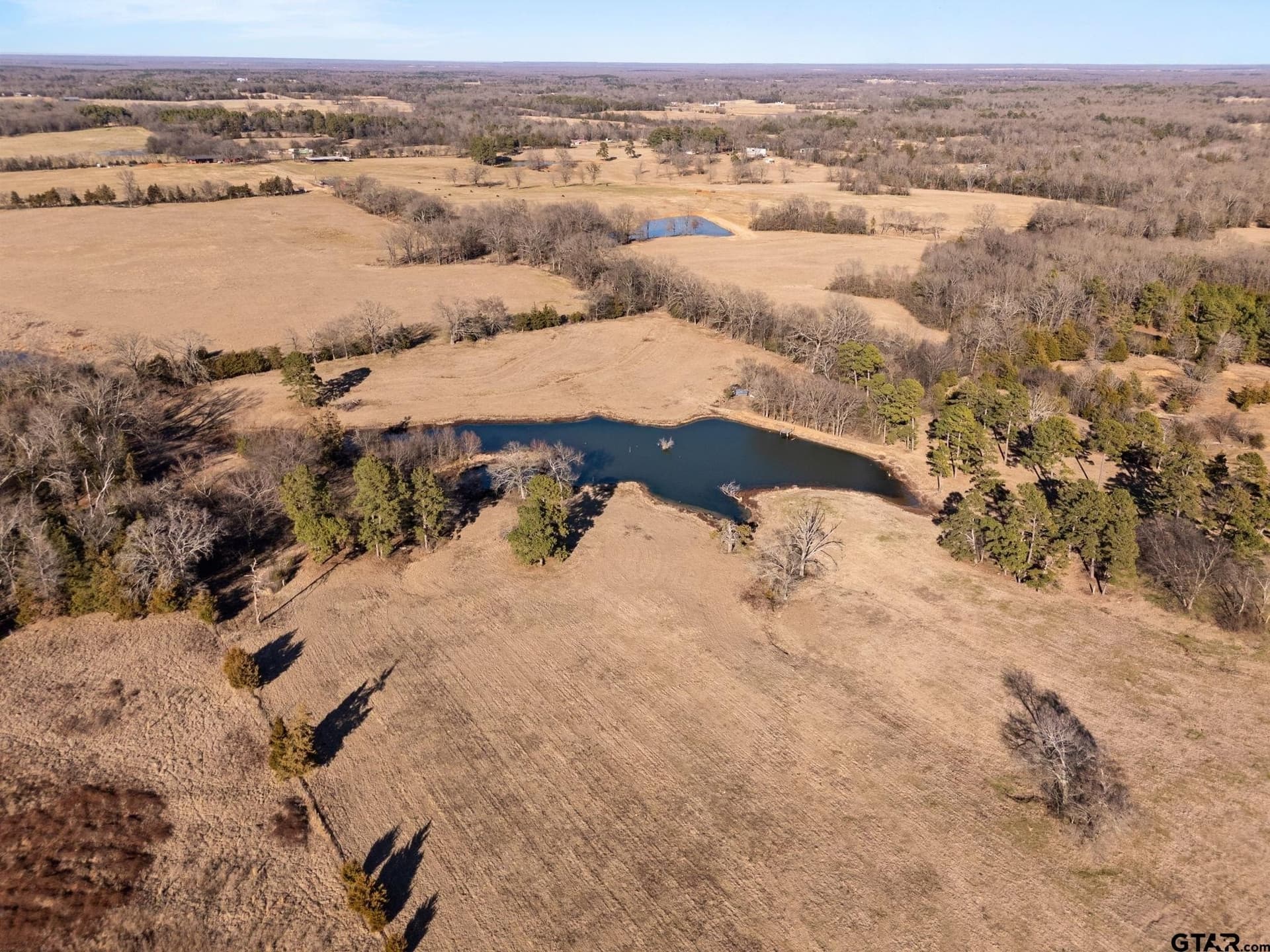 40 acres in Titus County - photo 39