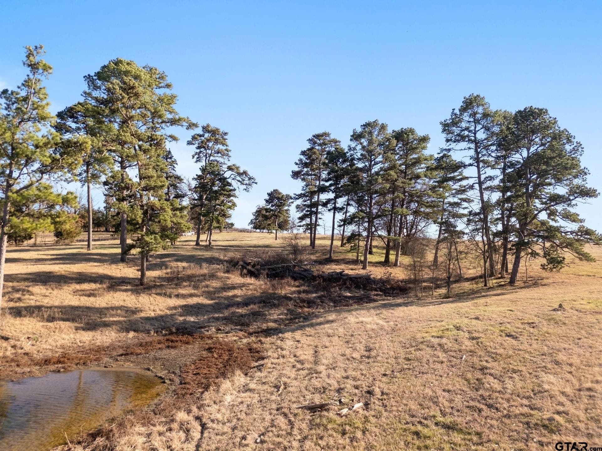 40 acres in Titus County - photo 37