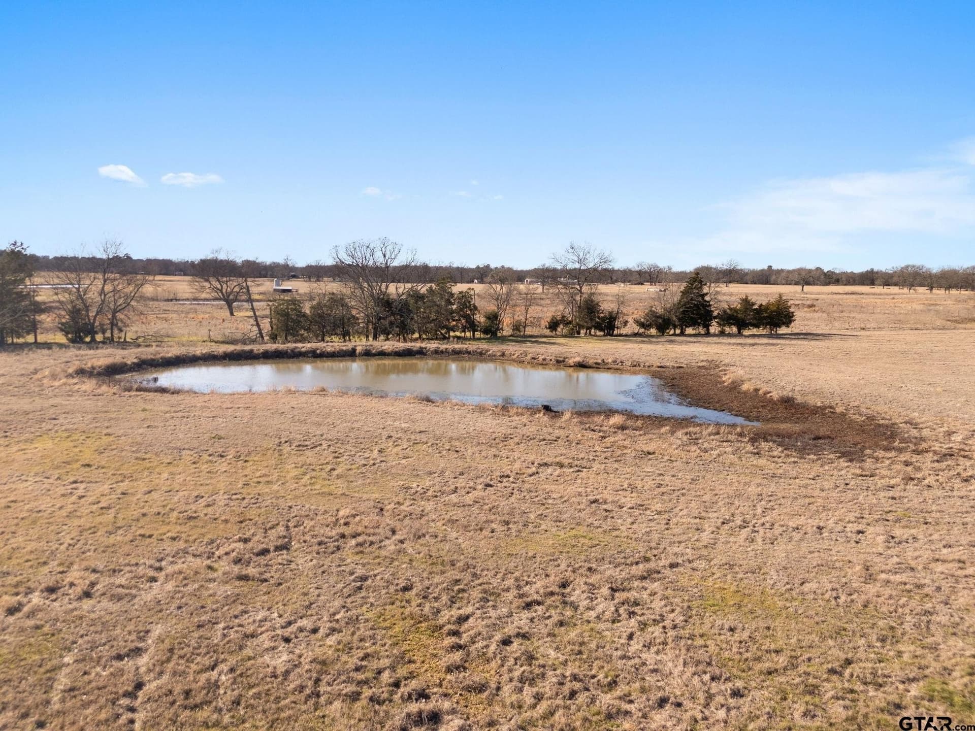 40 acres in Titus County - photo 36