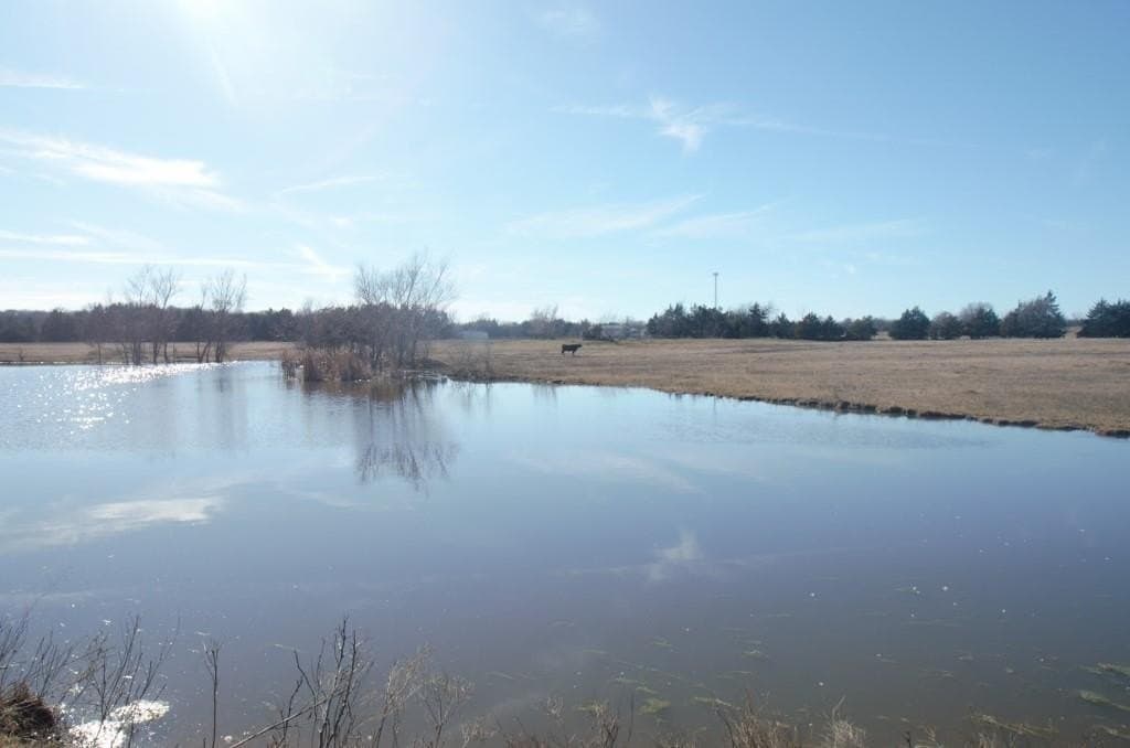 33.35 acres in Grayson County gallery image 4