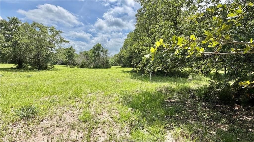 28.1 acres in Grimes County gallery image 2