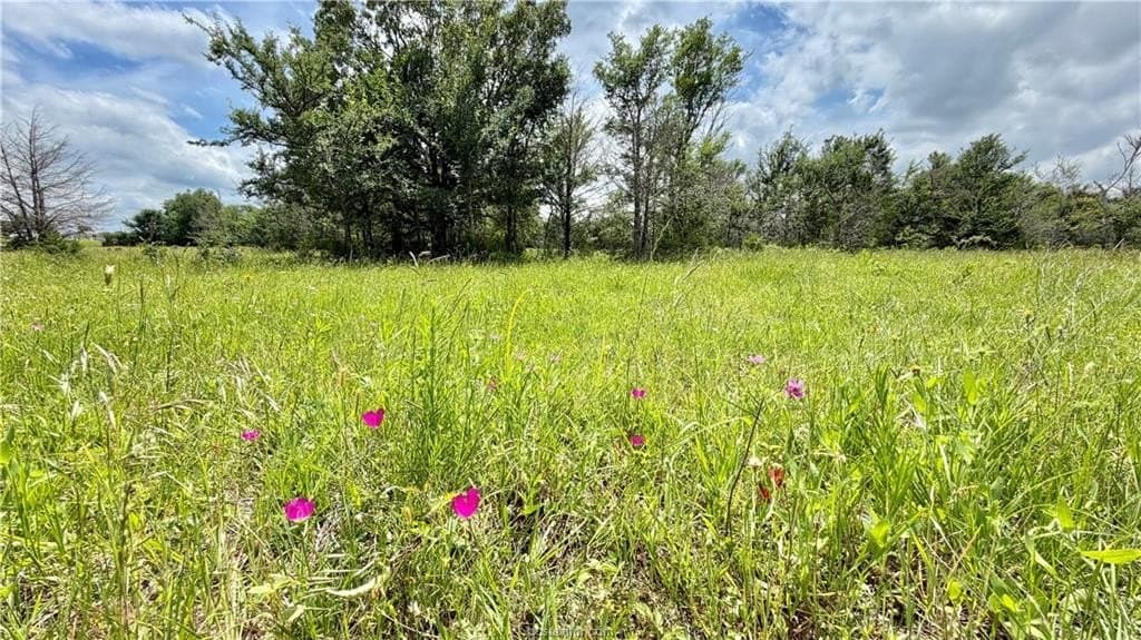 28.1 acres in Grimes County featured view