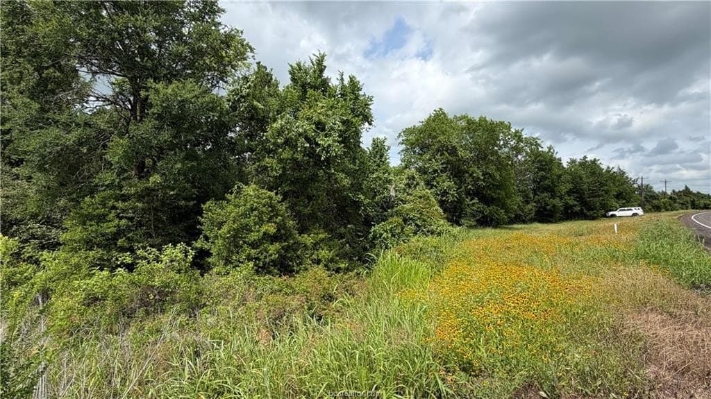 28.1 acres in Grimes County gallery image 4
