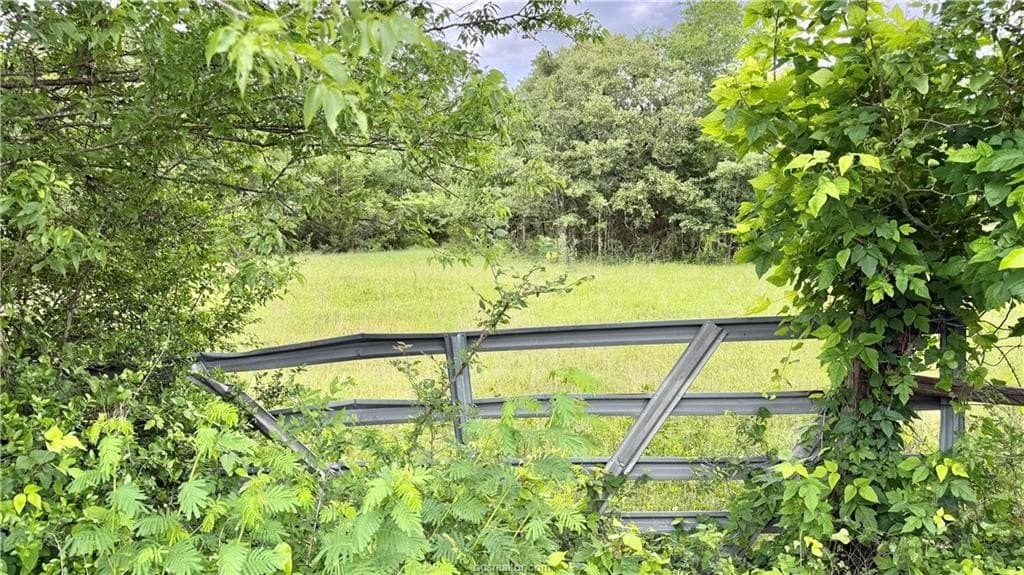 28.1 acres in Grimes County gallery image 3