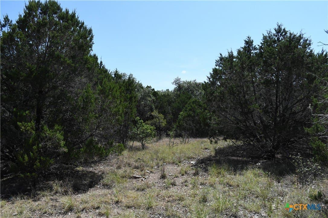 1.32 acres in Comal County - photo 11