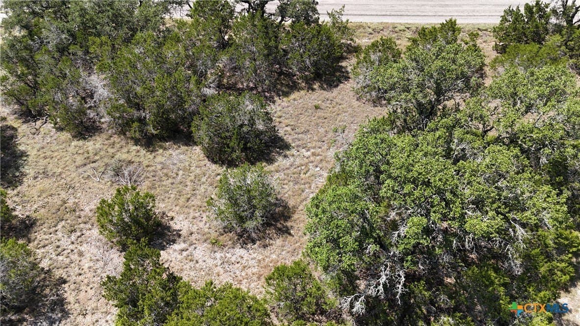 1.32 acres in Comal County - photo 33