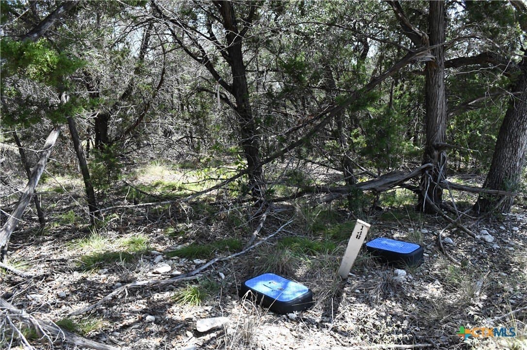 1.32 acres in Comal County - photo 34