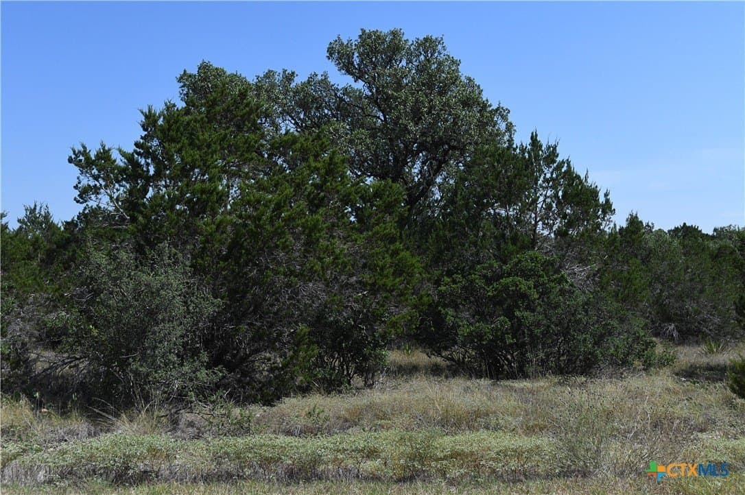 1.32 acres in Comal County - photo 4