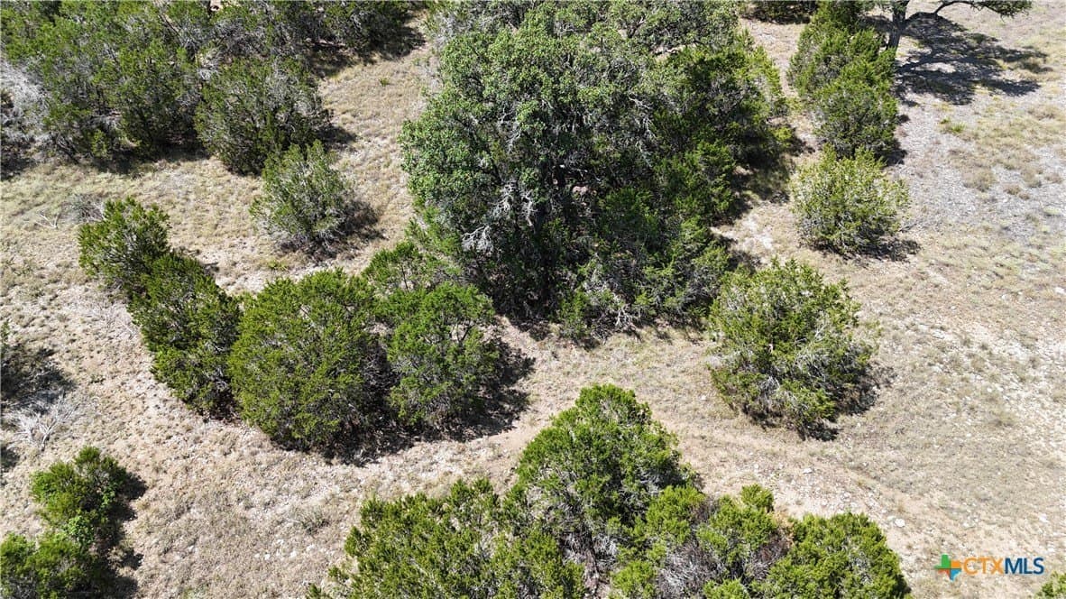 1.32 acres in Comal County - photo 27