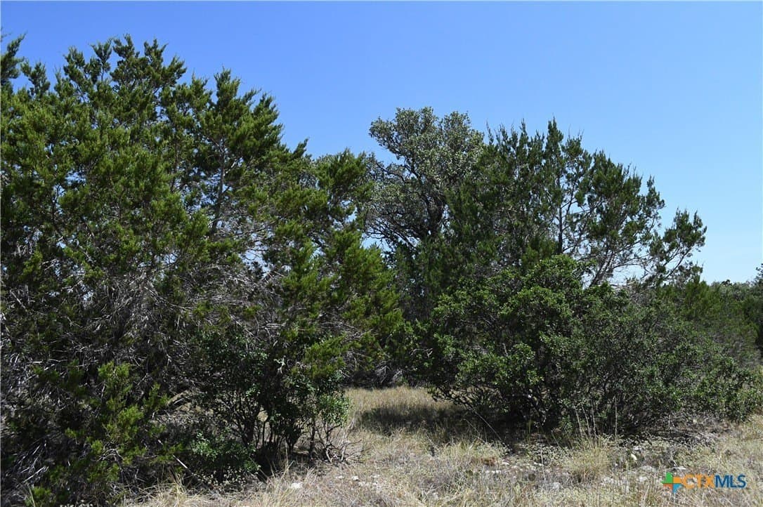 1.32 acres in Comal County - photo 16