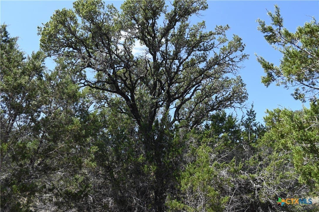 1.32 acres in Comal County - photo 8