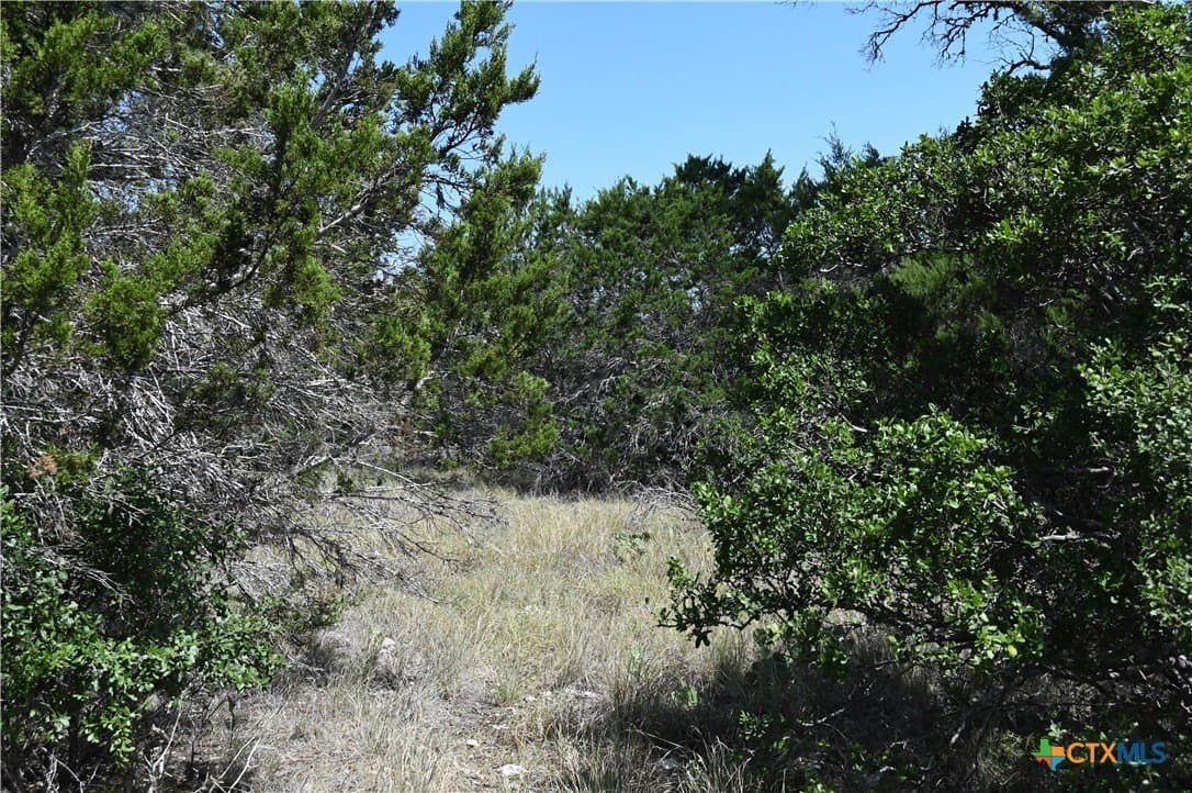 1.32 acres in Comal County - photo 6