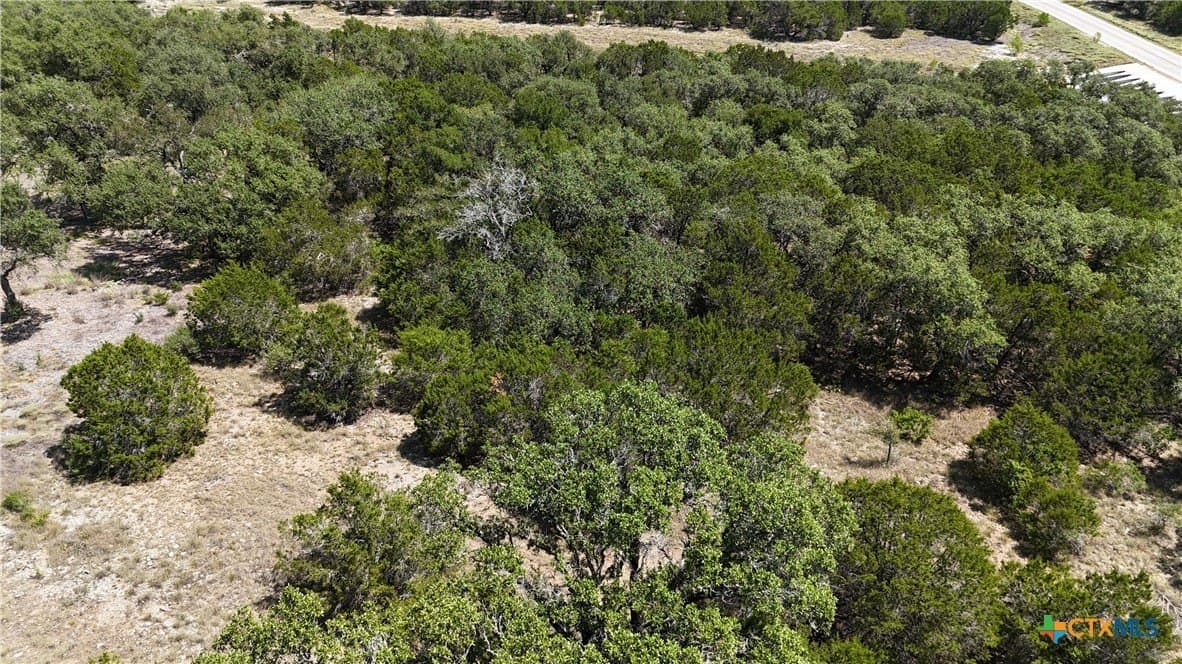 1.32 acres in Comal County - photo 32