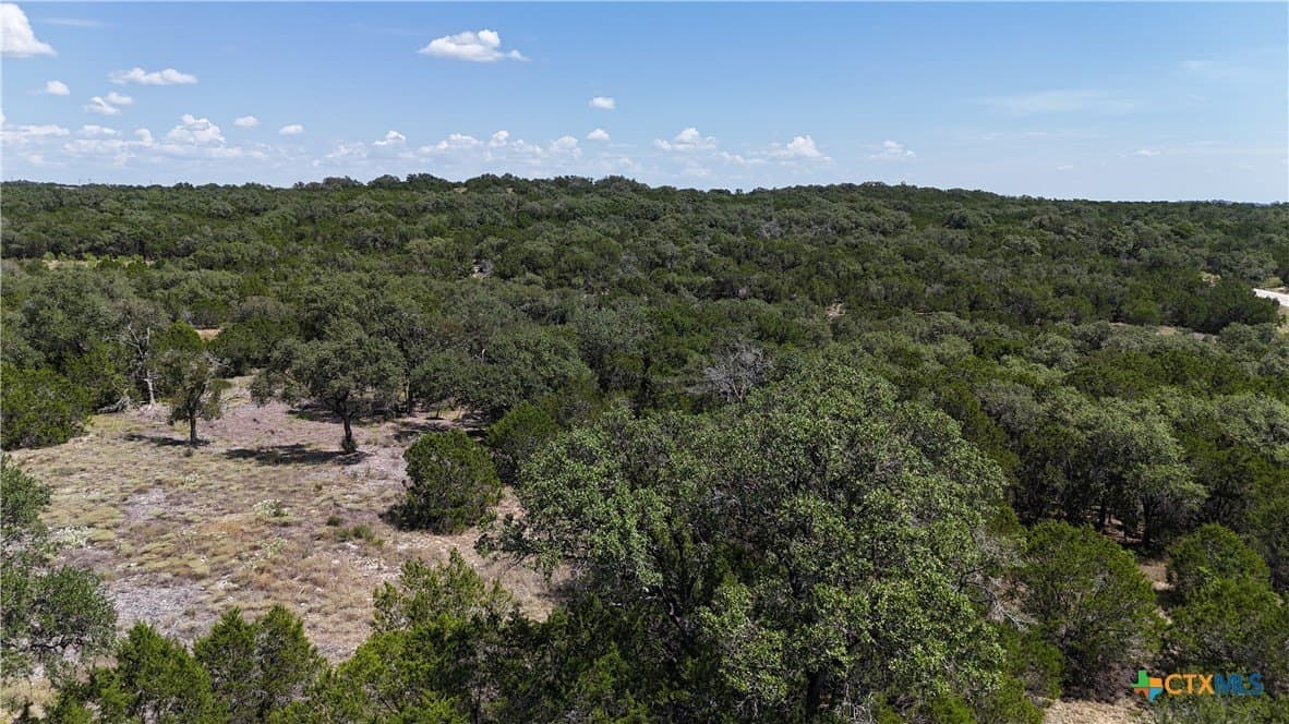 1.32 acres in Comal County - photo 29