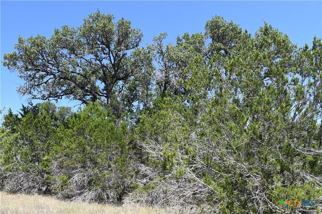 1.32 acres in Comal County - photo 13