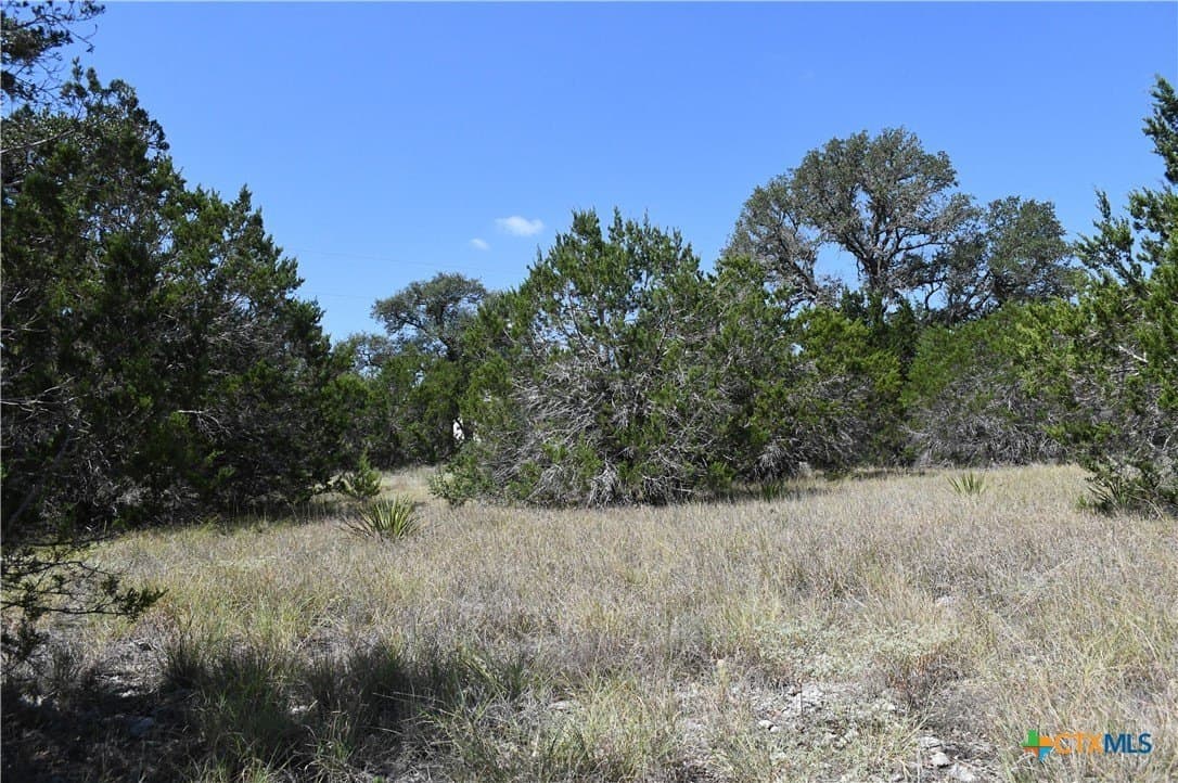 1.32 acres in Comal County - photo 15