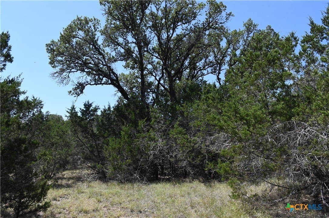 1.32 acres in Comal County - photo 10