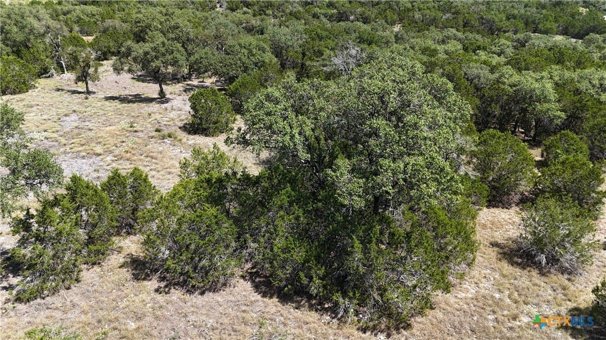 1.32 acres in Comal County - photo 28