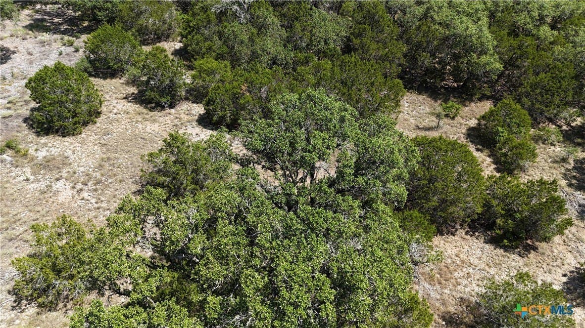 1.32 acres in Comal County - photo 31