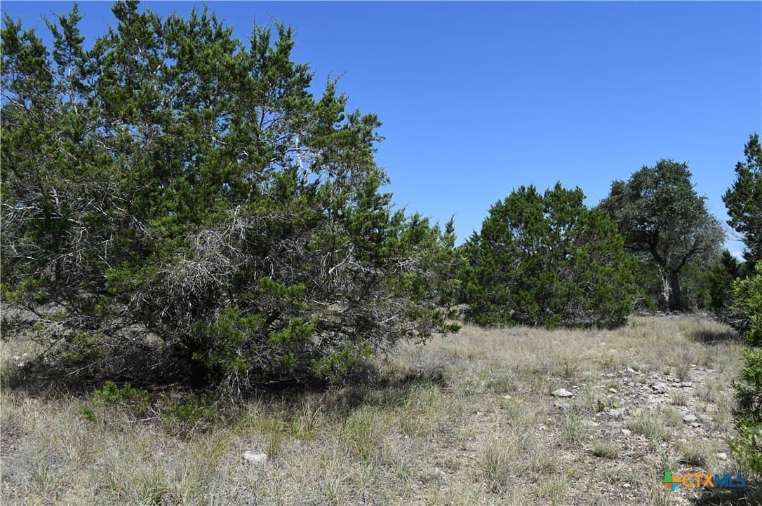 1.32 acres in Comal County - photo 9