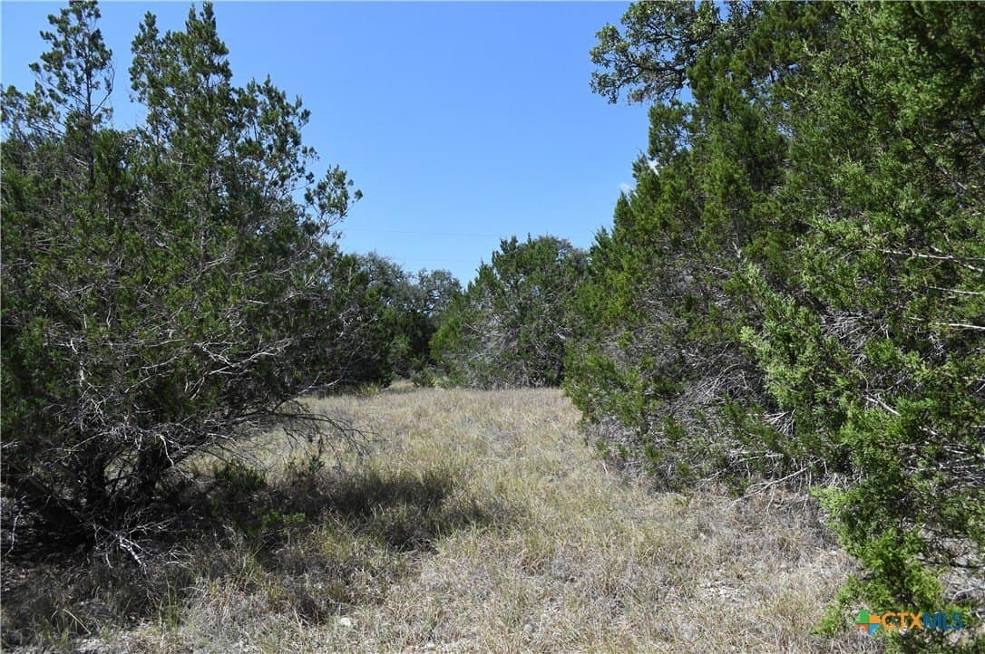 1.32 acres in Comal County - photo 12
