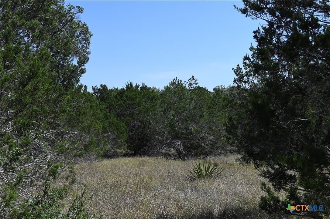 1.32 acres in Comal County - photo 7