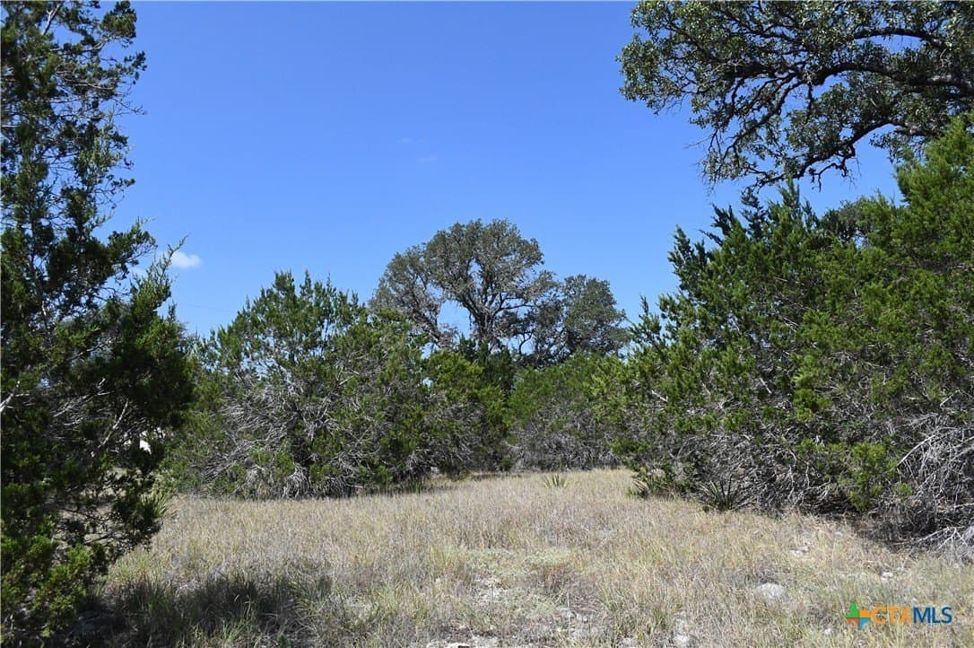 1.32 acres in Comal County - photo 14