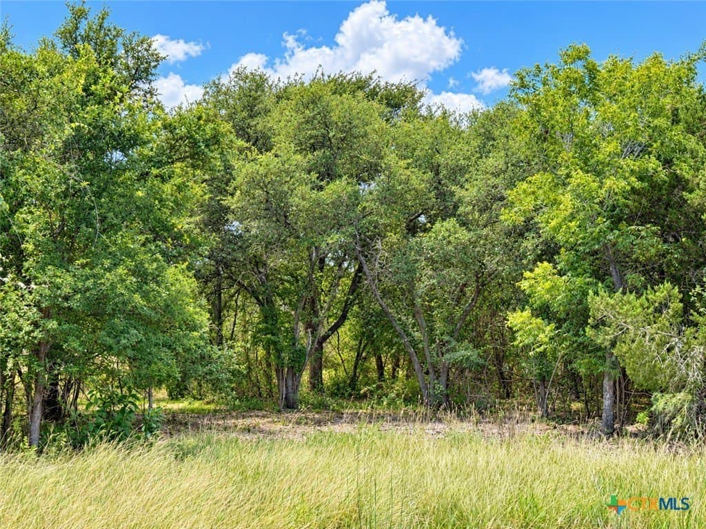 2.16 acres in Bell County - photo 4