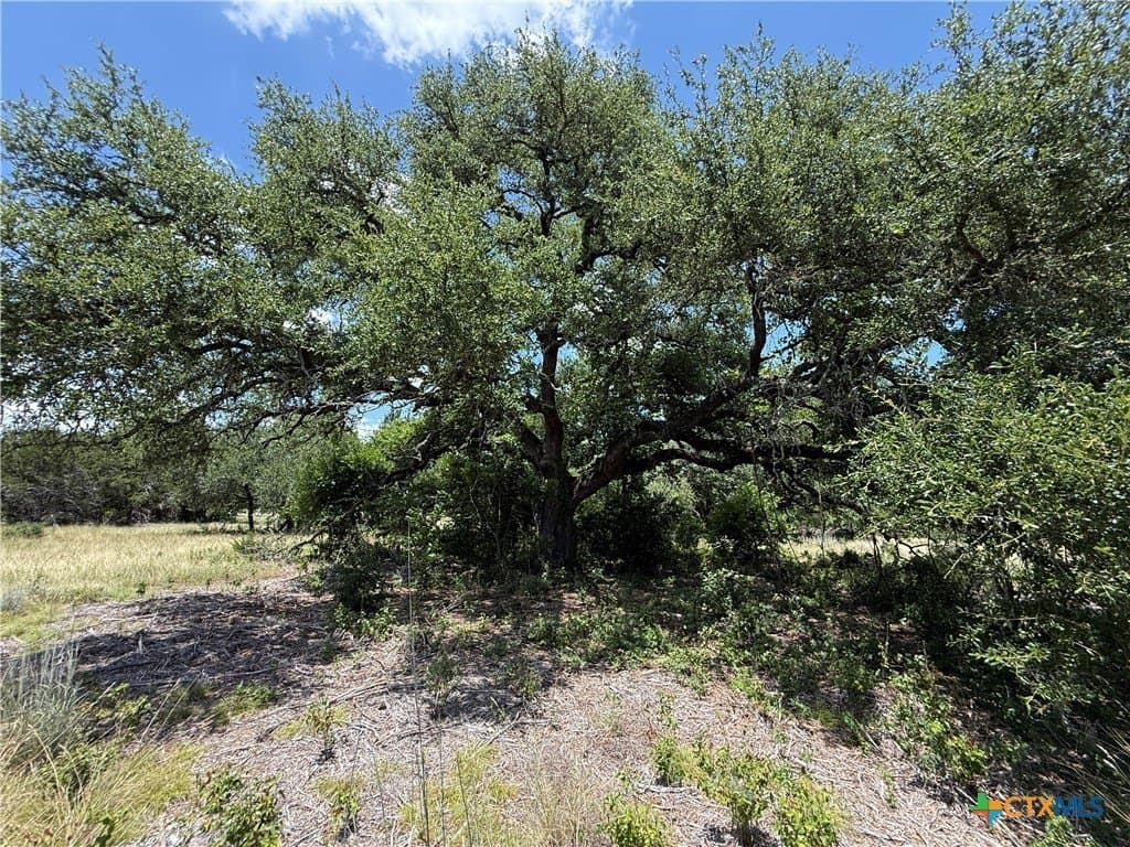 2.16 acres in Bell County - photo 6