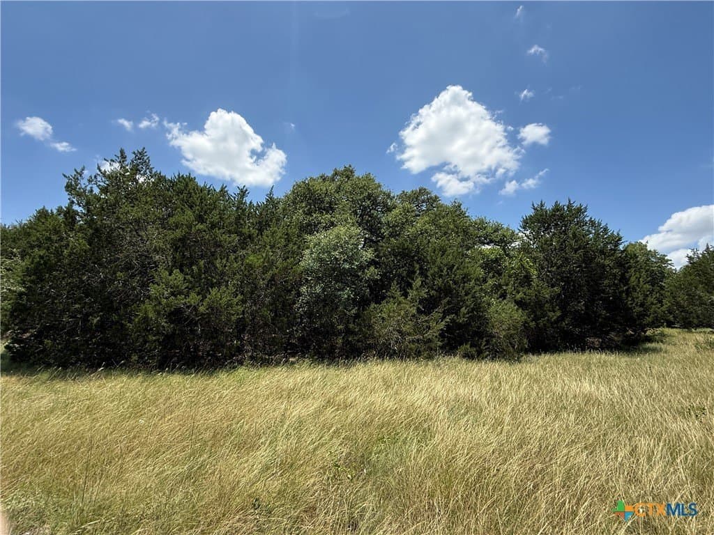 2.16 acres in Bell County gallery image 4