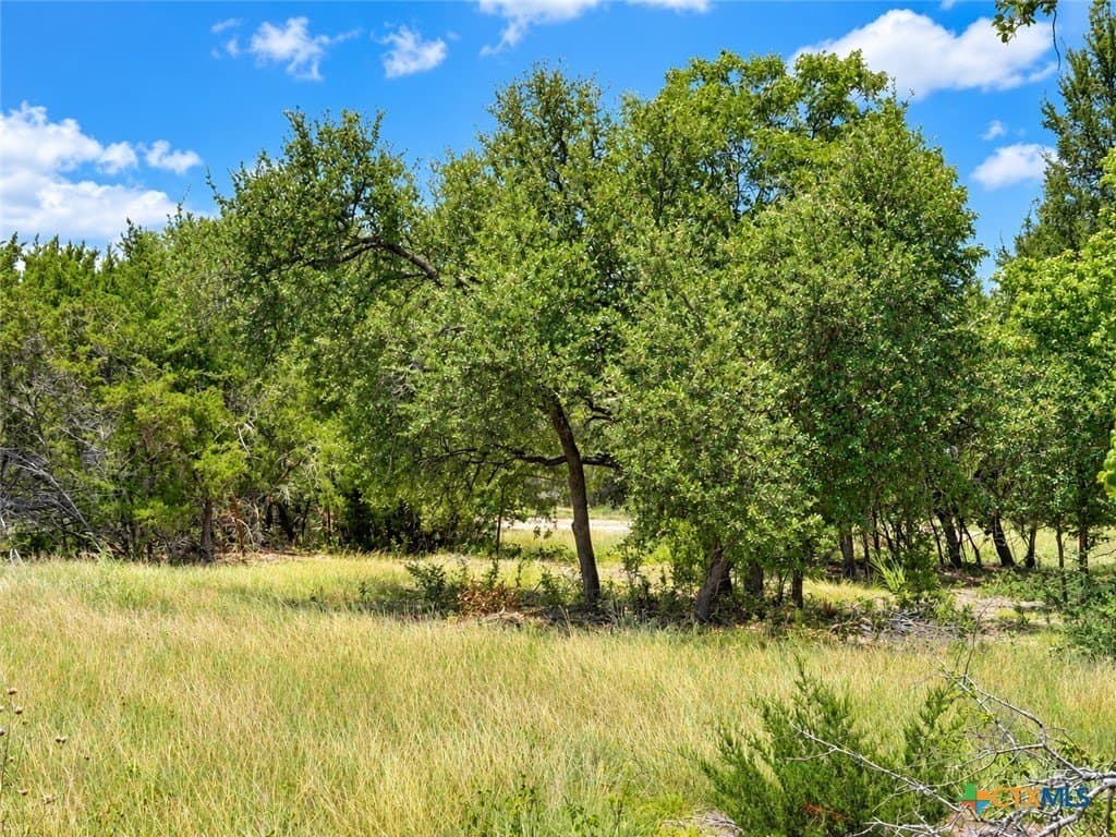 2.16 acres in Bell County - photo 5