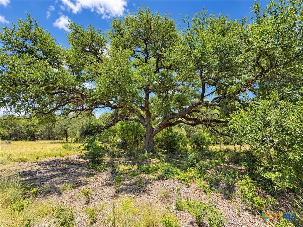 2.16 acres in Bell County - photo 6