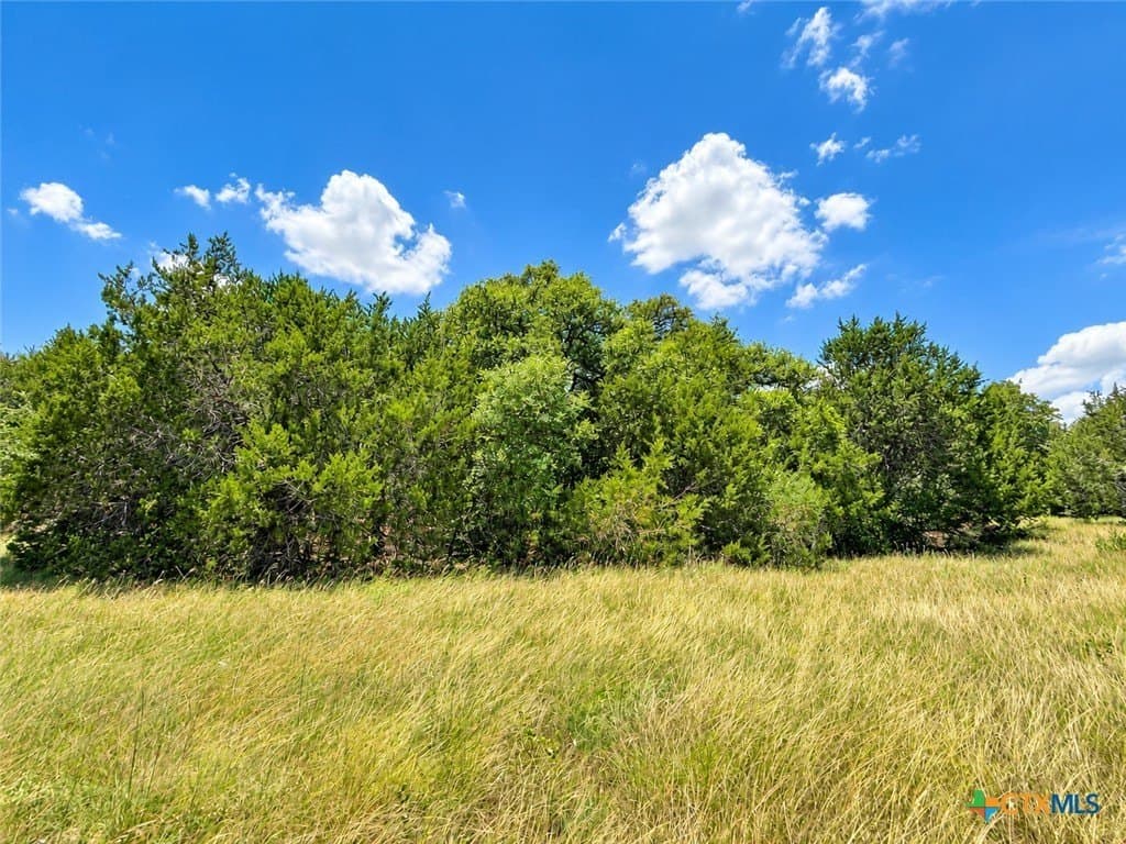 2.16 acres in Bell County - photo 8