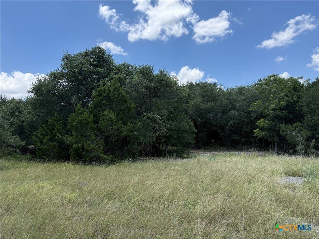 2.16 acres in Bell County gallery image 3
