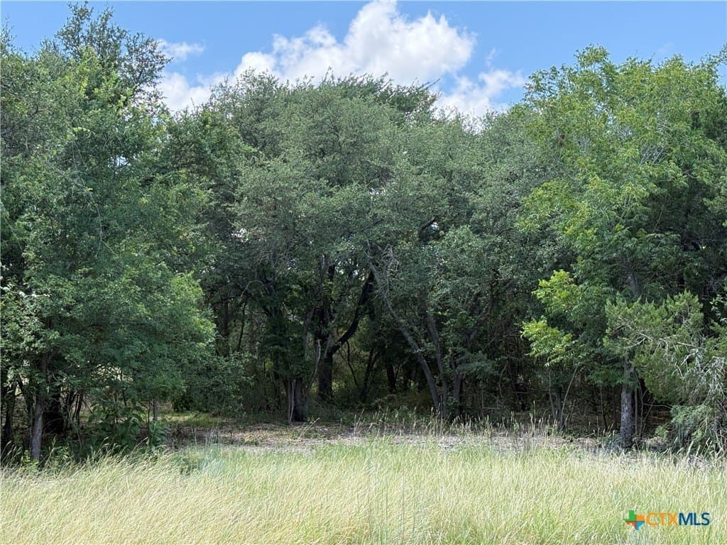 2.16 acres in Bell County - photo 8