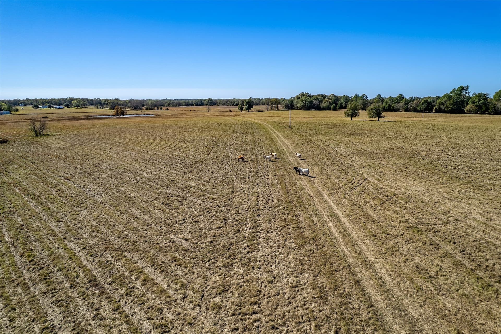 103.53 acres in Van Zandt County - photo 3