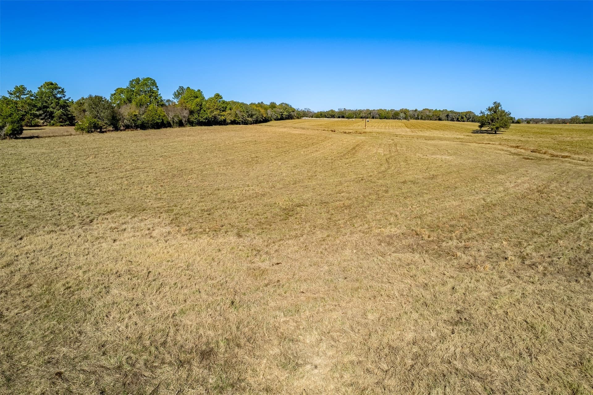 103.53 acres in Van Zandt County - photo 7