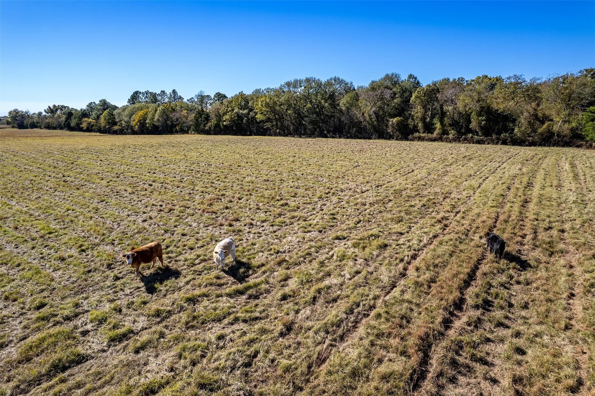103.53 acres in Van Zandt County - photo 15