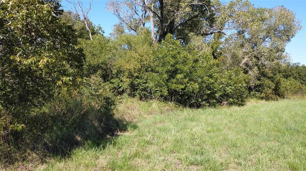 8.35 acres in Eastland County gallery image 3