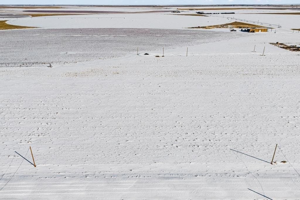 1.17 acres in Gaines County