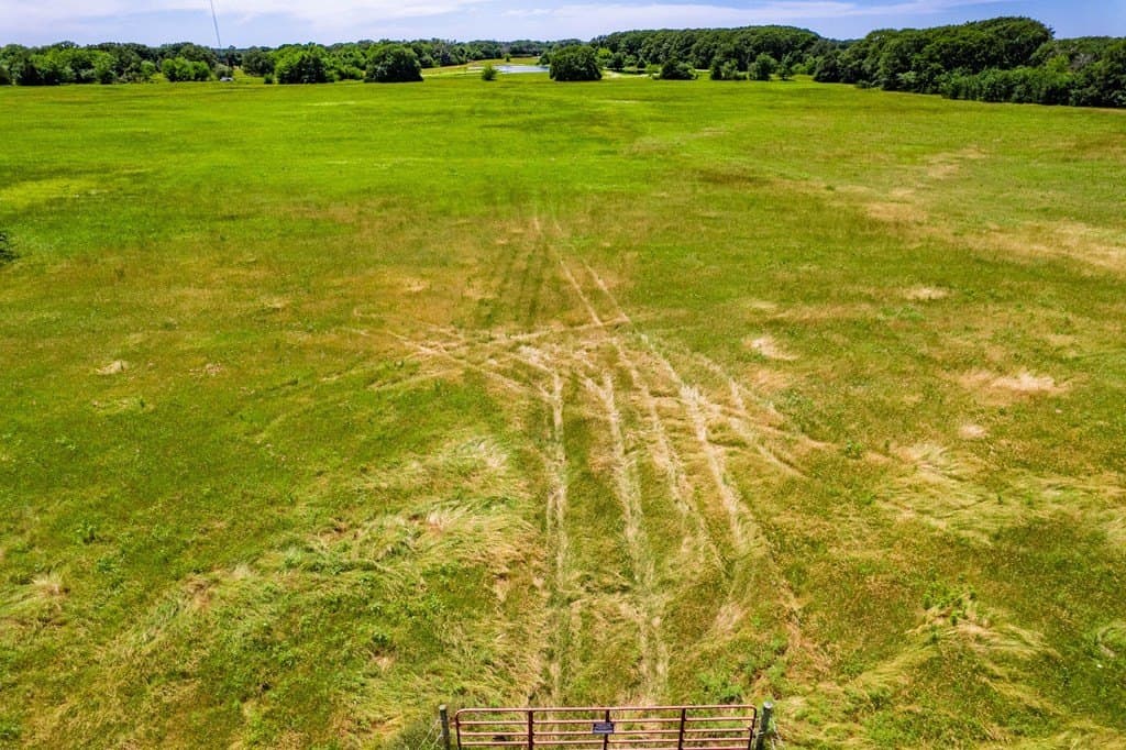 6 acres in Kaufman County gallery image 2