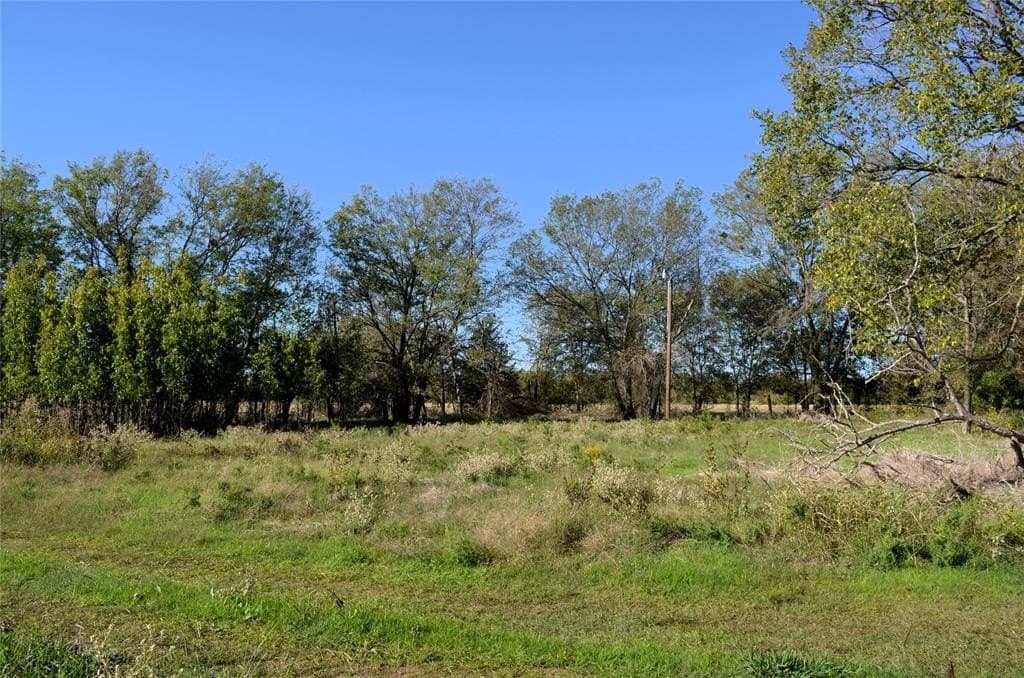 15.7 acres in Henderson County gallery image 4