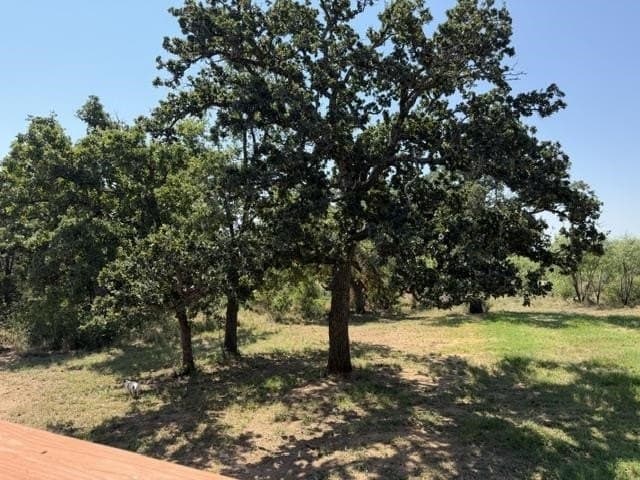 14.64 acres in Llano County - photo 36