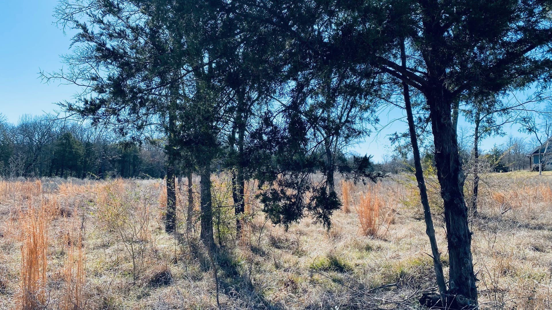 2.91 acres in Navarro County gallery image 4