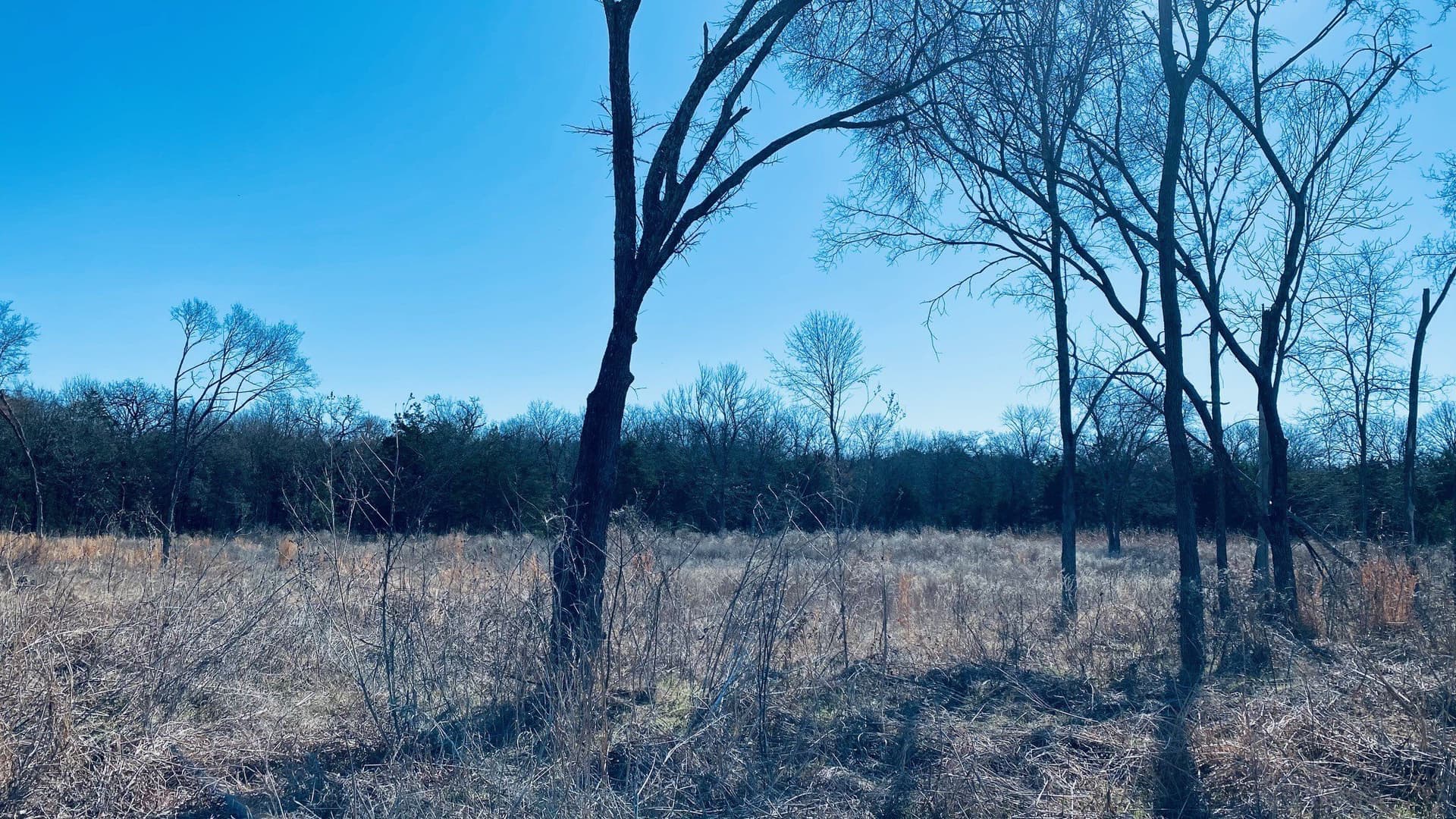 2.91 acres in Navarro County gallery image 2