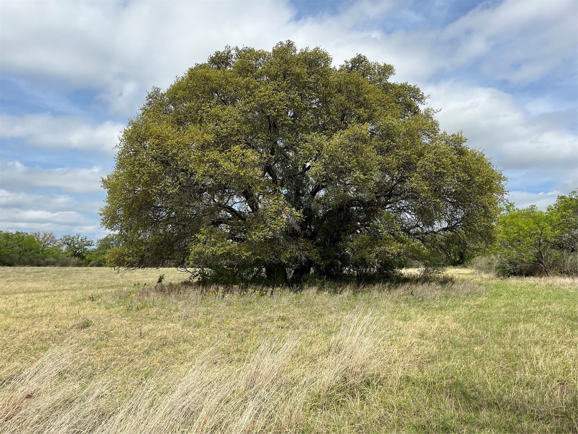 234.5 acres in Mills County - photo 22