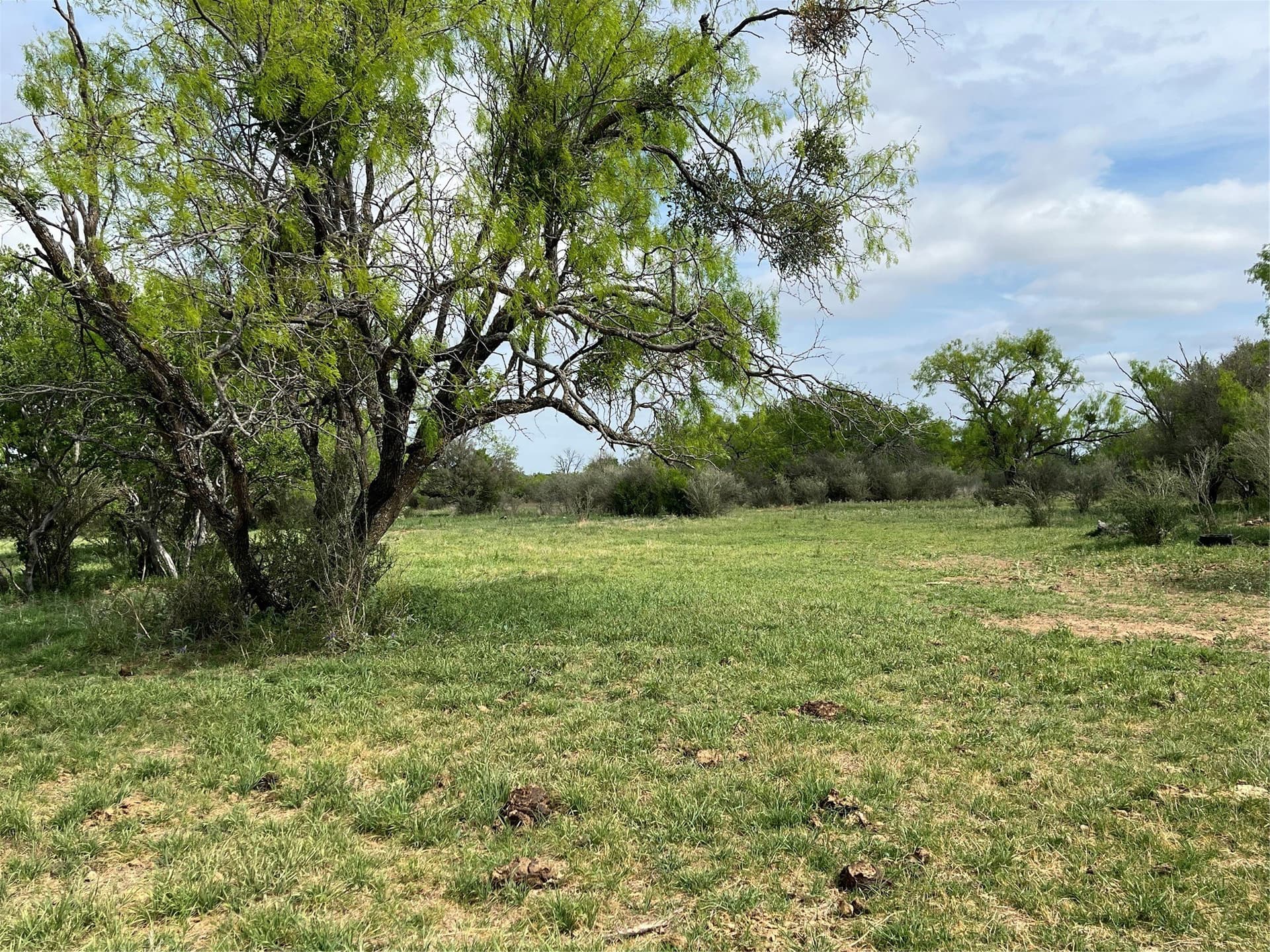 234.5 acres in Mills County - photo 20
